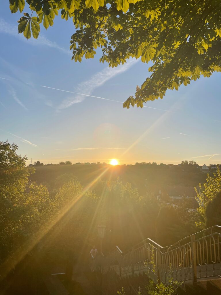 Handstand Heaven 2026