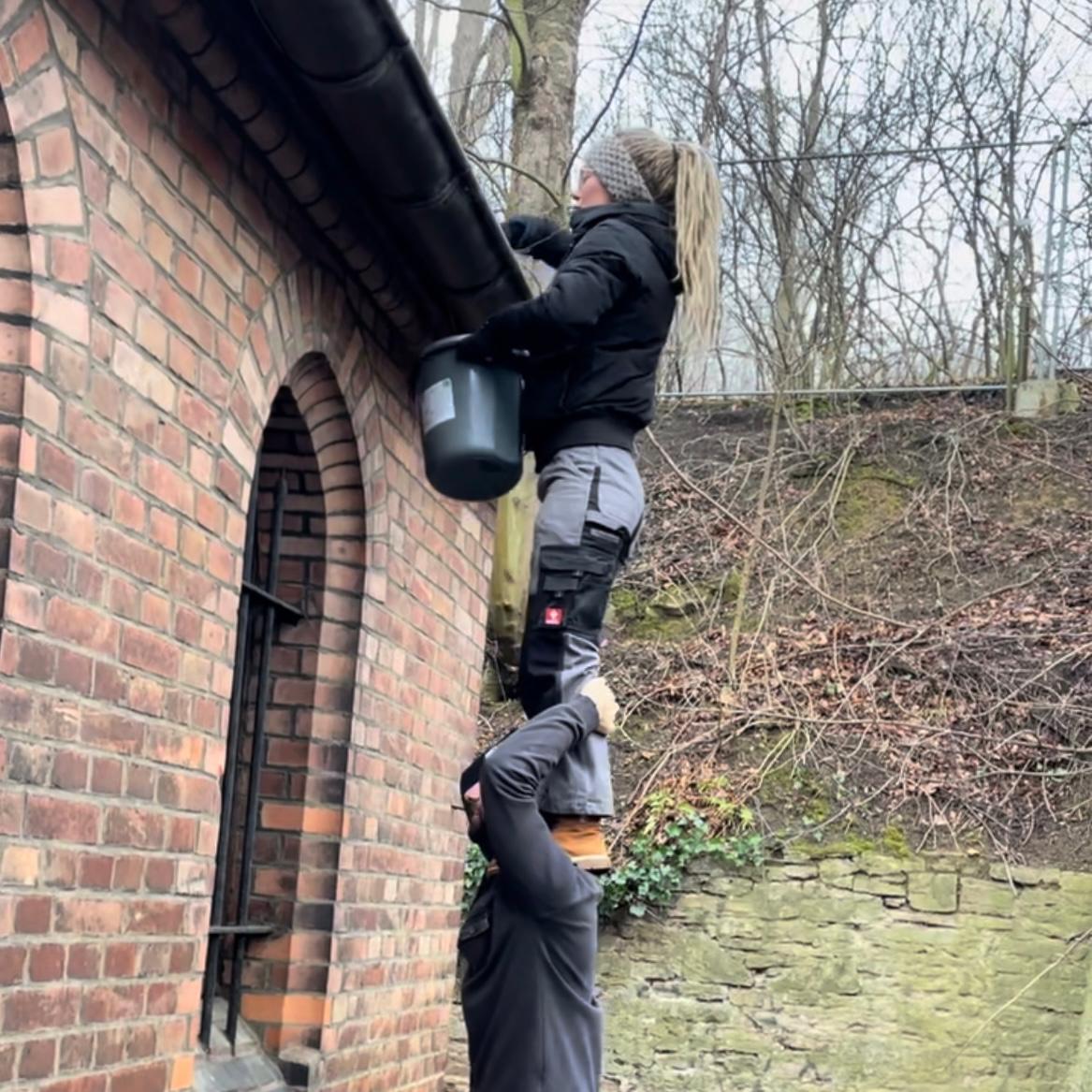 Acro Building Weekend - WINTER